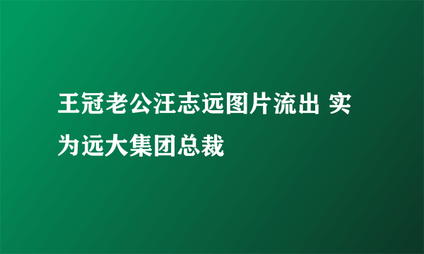 王冠老公汪志远图片流出 实为远大集团总裁