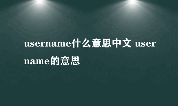 username什么意思中文 username的意思