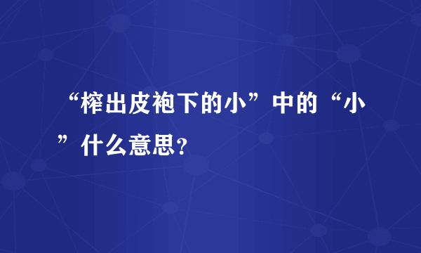 “榨出皮袍下的小”中的“小”什么意思？