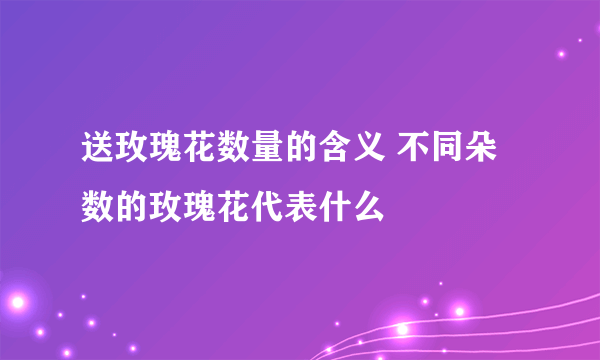 送玫瑰花数量的含义 不同朵数的玫瑰花代表什么