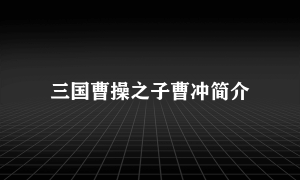 三国曹操之子曹冲简介