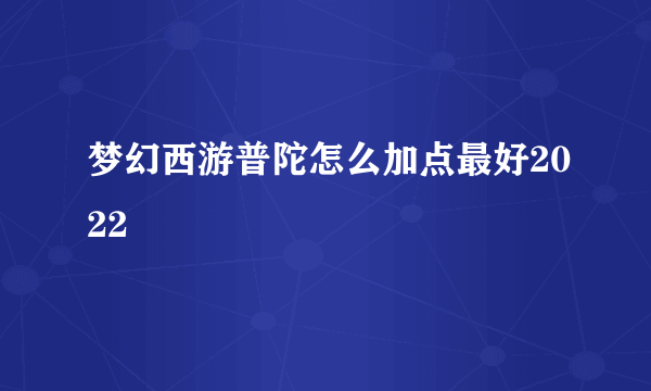 梦幻西游普陀怎么加点最好2022