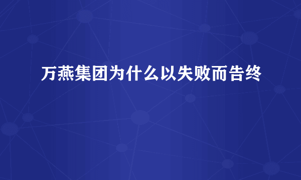 万燕集团为什么以失败而告终