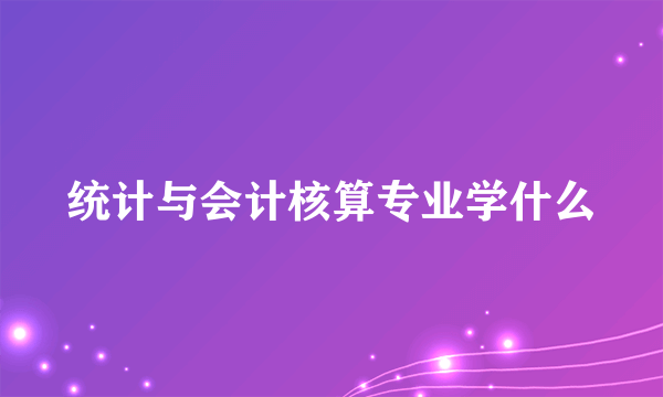 统计与会计核算专业学什么