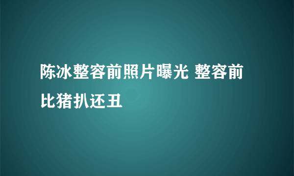 陈冰整容前照片曝光 整容前比猪扒还丑