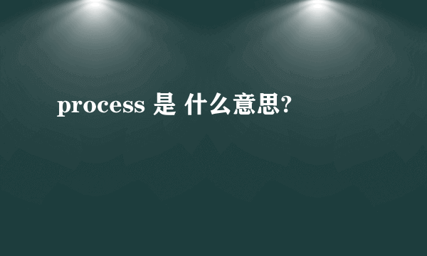 process 是 什么意思?