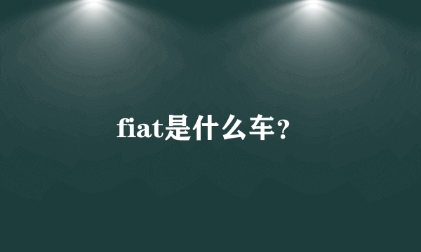 fiat是什么车？