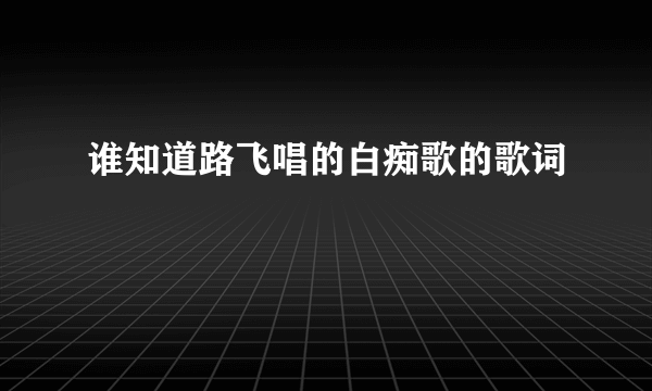 谁知道路飞唱的白痴歌的歌词