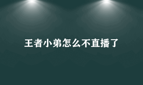 王者小弟怎么不直播了