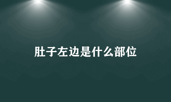 肚子左边是什么部位