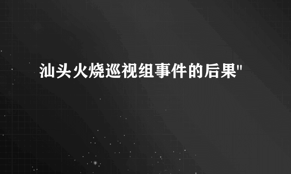 汕头火烧巡视组事件的后果