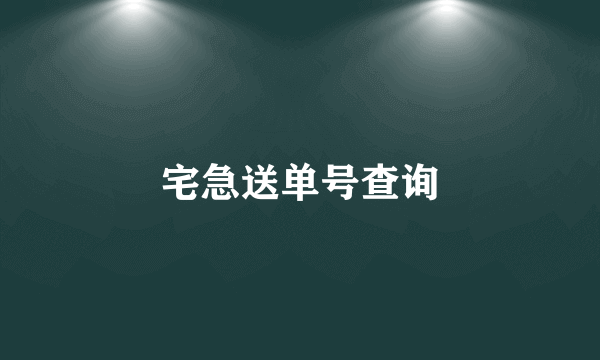 宅急送单号查询