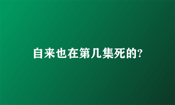 自来也在第几集死的?