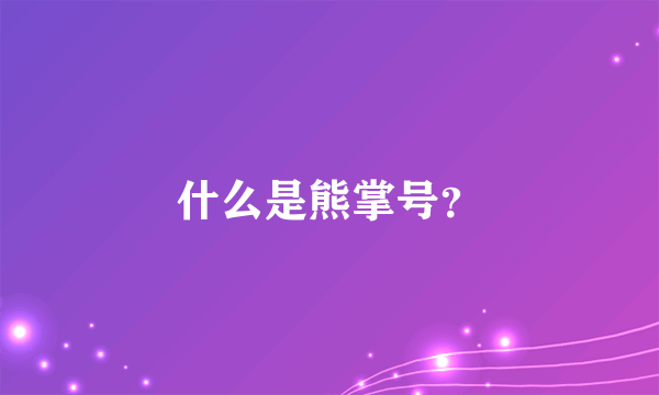 什么是熊掌号？