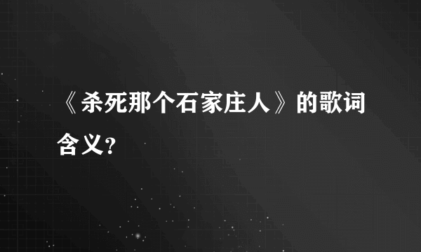 《杀死那个石家庄人》的歌词含义？