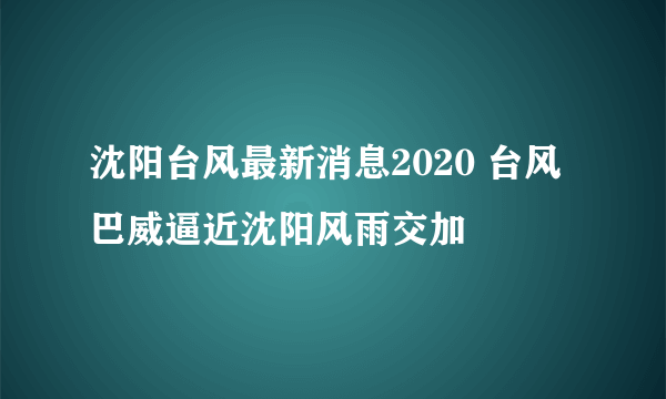 沈阳台风最新消息2020 台风巴威逼近沈阳风雨交加