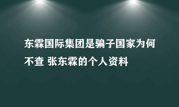 东霖国际集团是骗子国家为何不查 张东霖的个人资料