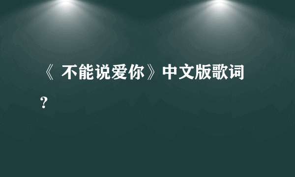 《 不能说爱你》中文版歌词？