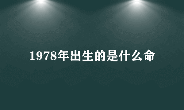 1978年出生的是什么命