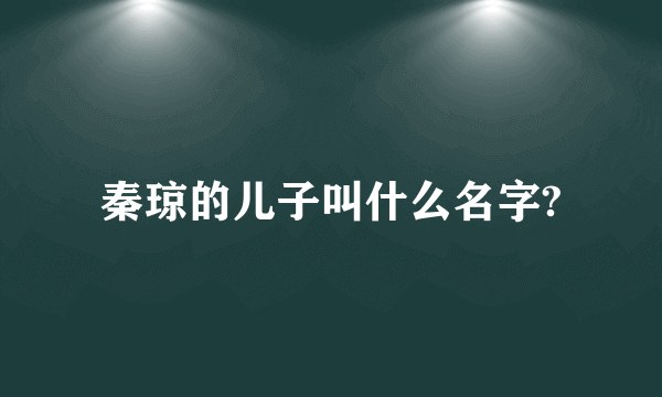 秦琼的儿子叫什么名字?