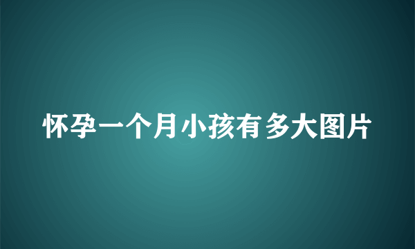 怀孕一个月小孩有多大图片