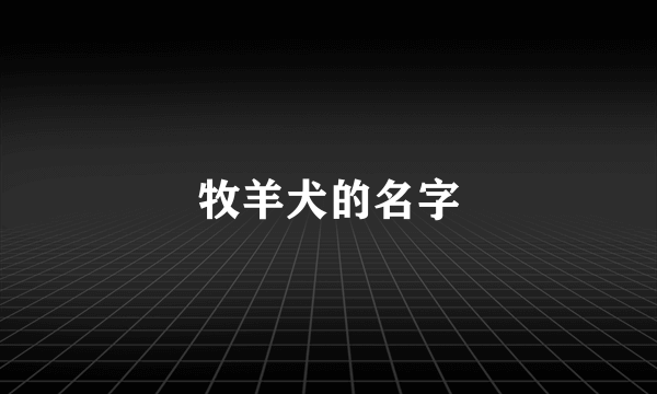 牧羊犬的名字