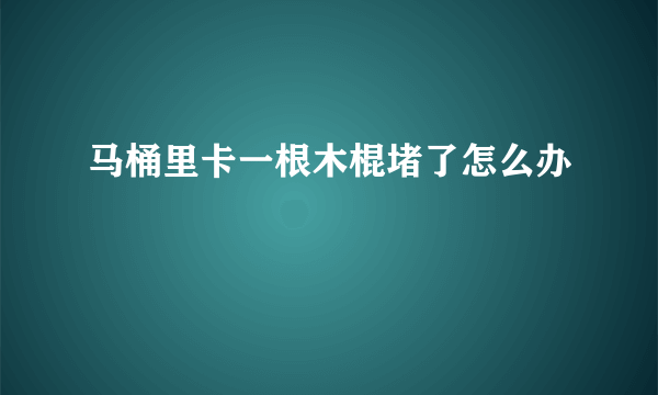 马桶里卡一根木棍堵了怎么办