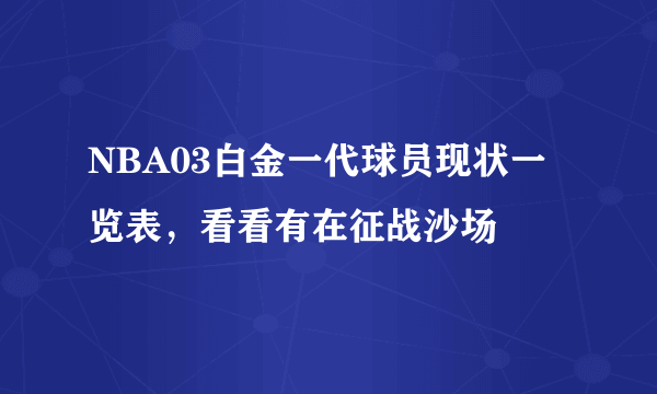 NBA03白金一代球员现状一览表，看看有在征战沙场