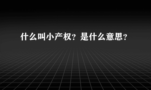 什么叫小产权？是什么意思？