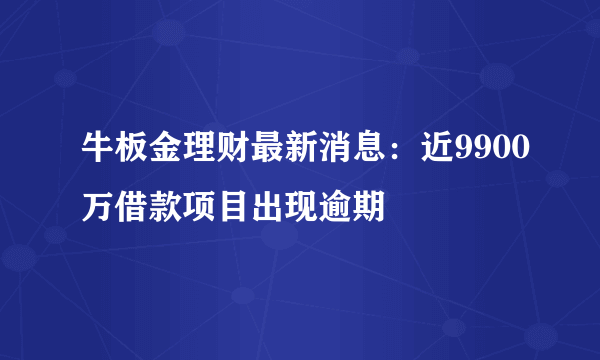 牛板金理财最新消息：近9900万借款项目出现逾期