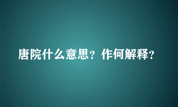 唐院什么意思？作何解释？