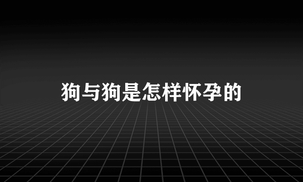 狗与狗是怎样怀孕的