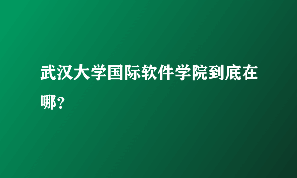 武汉大学国际软件学院到底在哪？