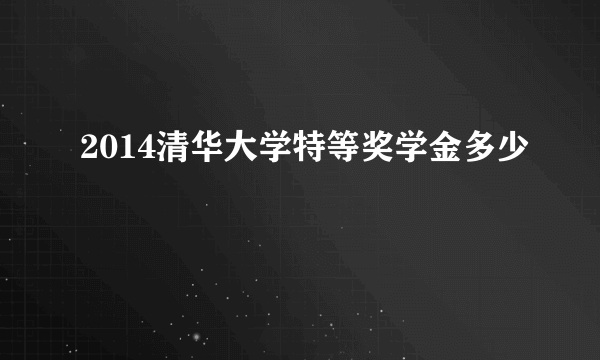 2014清华大学特等奖学金多少