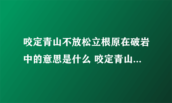 咬定青山不放松立根原在破岩中的意思是什么 咬定青山不放松立根原在破岩中是什么意思