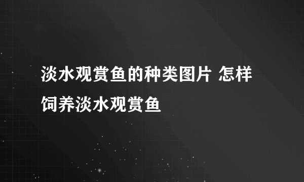 淡水观赏鱼的种类图片 怎样饲养淡水观赏鱼