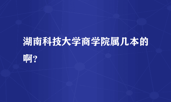 湖南科技大学商学院属几本的啊？