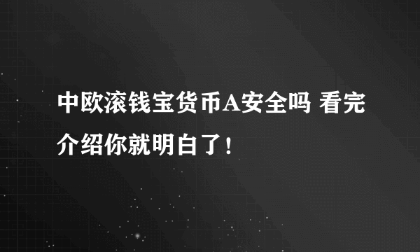 中欧滚钱宝货币A安全吗 看完介绍你就明白了！