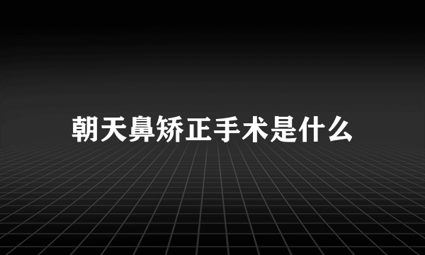 朝天鼻矫正手术是什么