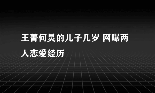 王菁何炅的儿子几岁 网曝两人恋爱经历