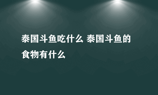 泰国斗鱼吃什么 泰国斗鱼的食物有什么