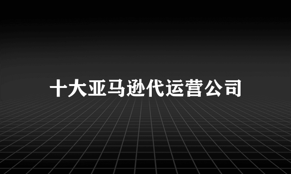 十大亚马逊代运营公司