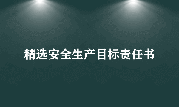 精选安全生产目标责任书