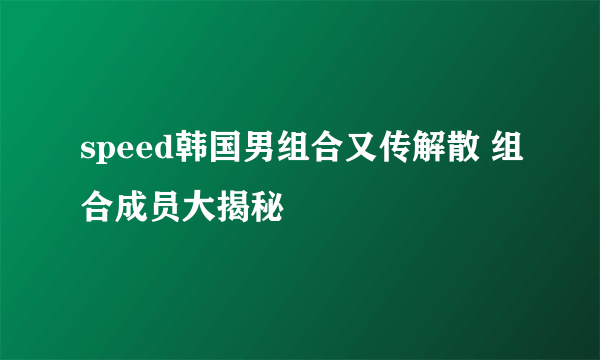 speed韩国男组合又传解散 组合成员大揭秘