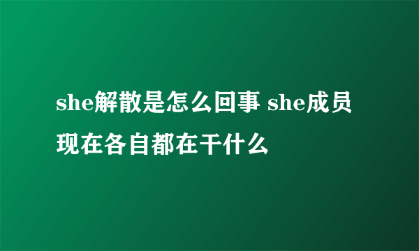 she解散是怎么回事 she成员现在各自都在干什么