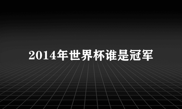 2014年世界杯谁是冠军