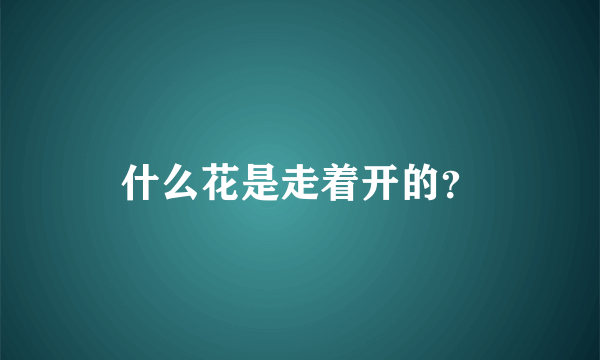 什么花是走着开的？