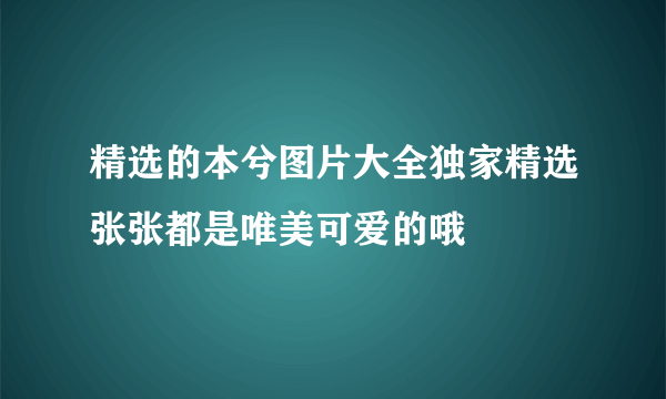 精选的本兮图片大全独家精选张张都是唯美可爱的哦