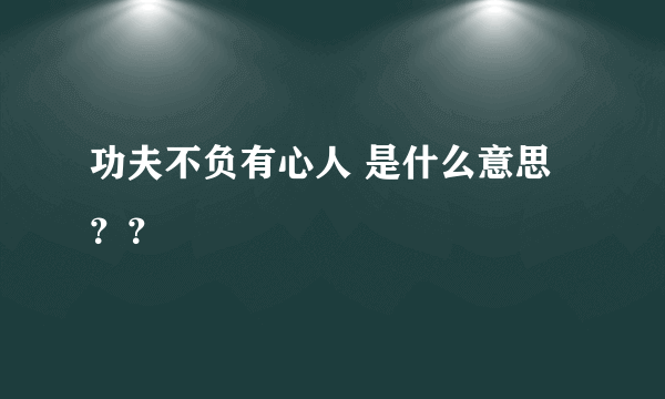 功夫不负有心人 是什么意思？？