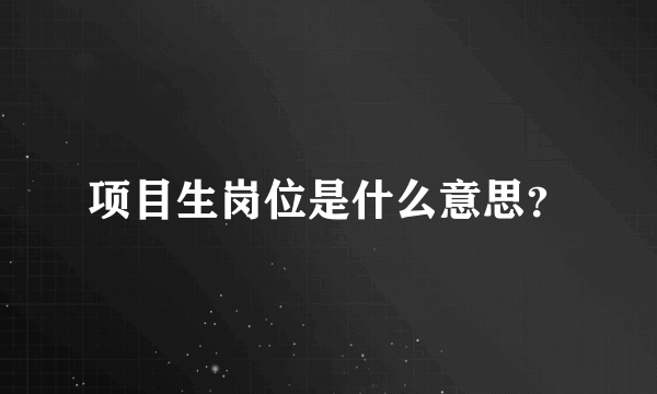 项目生岗位是什么意思？